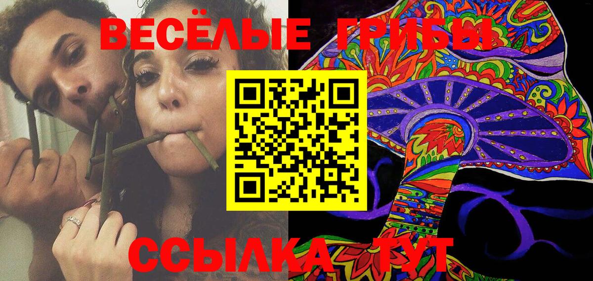 Городец  Галлюциногенные грибы Psilocybine cubensis  Вход с VPN 