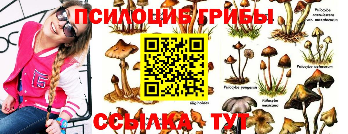 Галлюциногенные грибы прущие грибы Городец